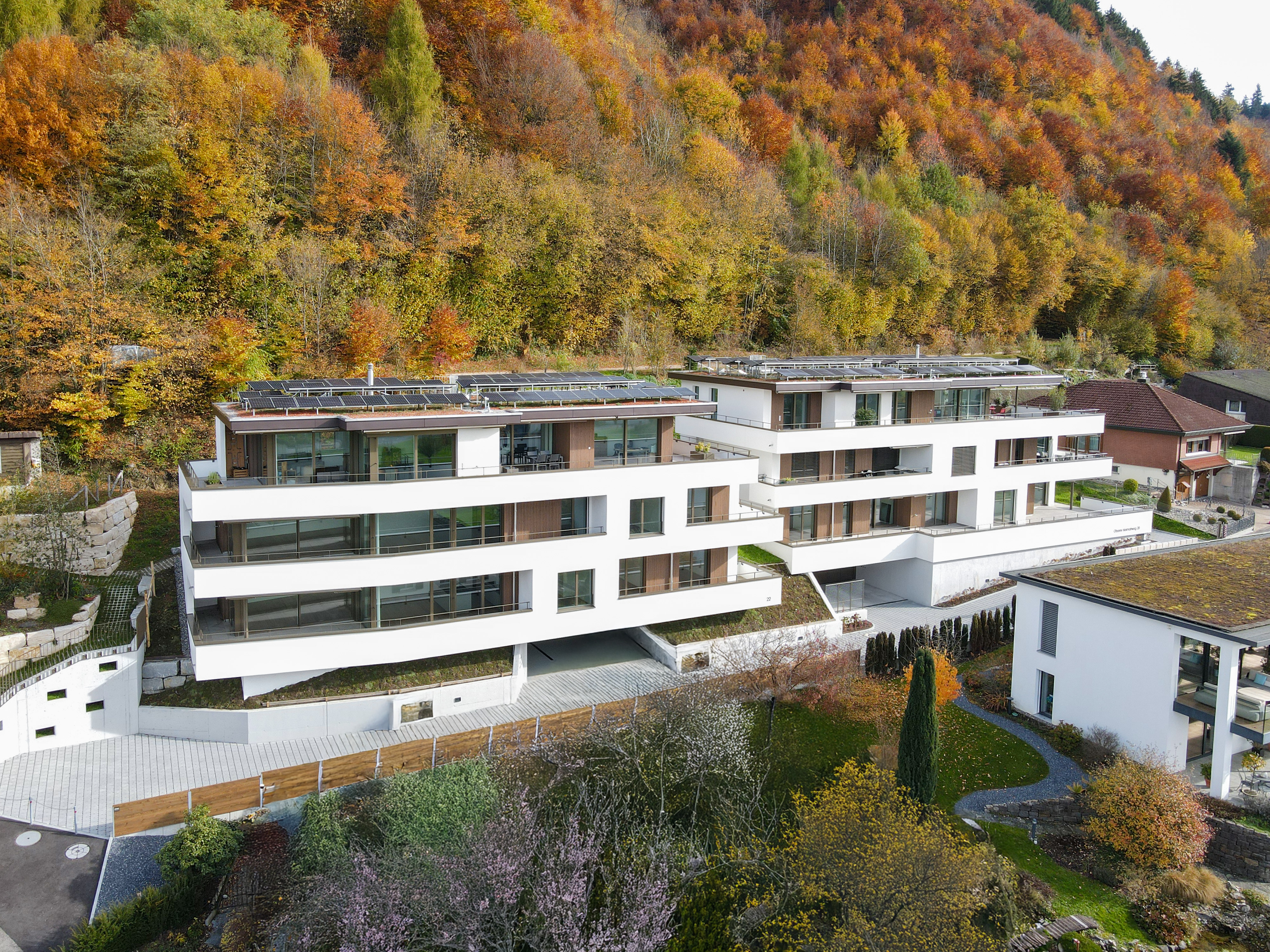 Bild - MHOE2901 bearbeitet