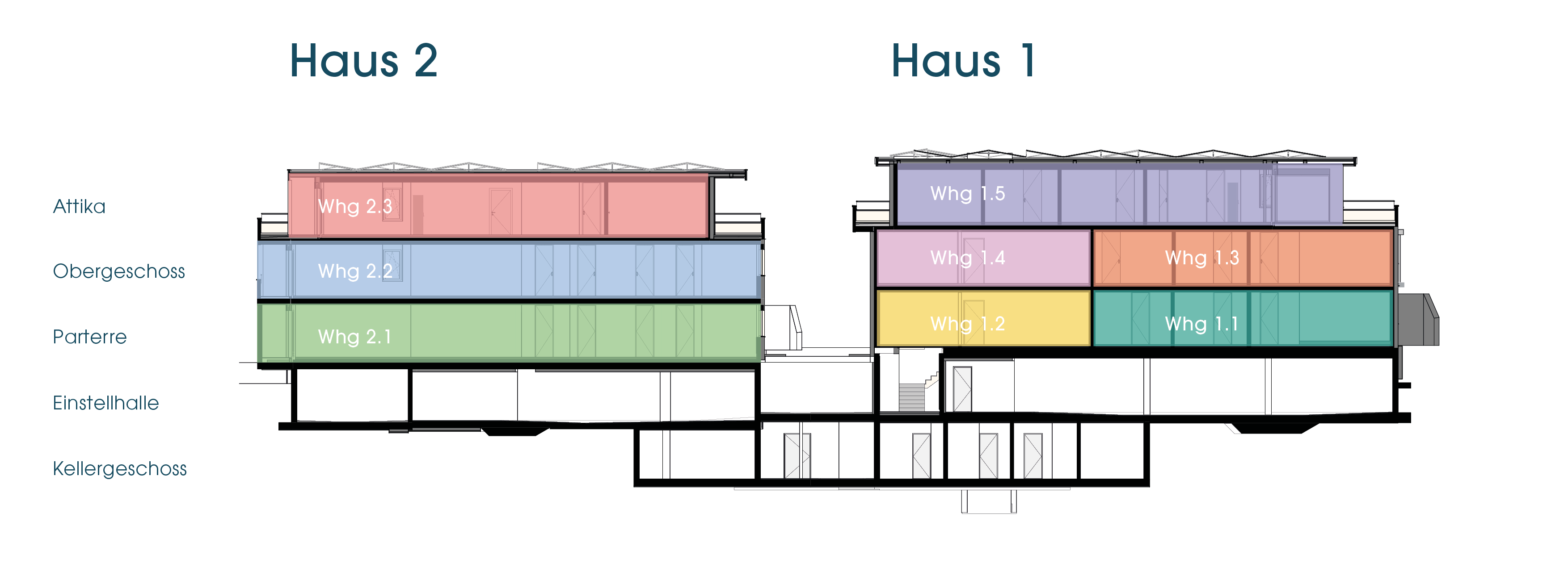 Bild - Schnitt basisbild