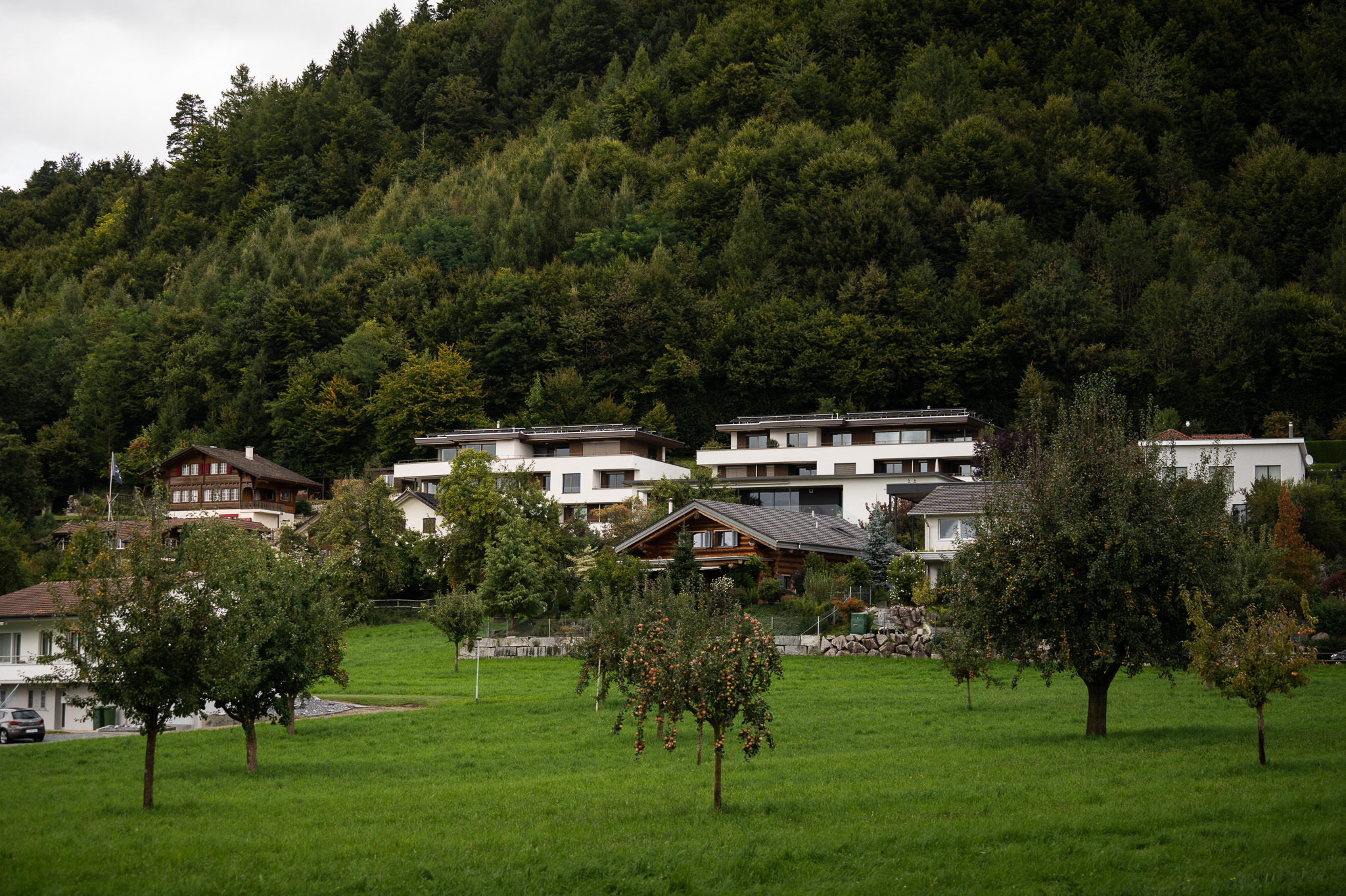 Bild - Kollektivw Wikon 01 WEB