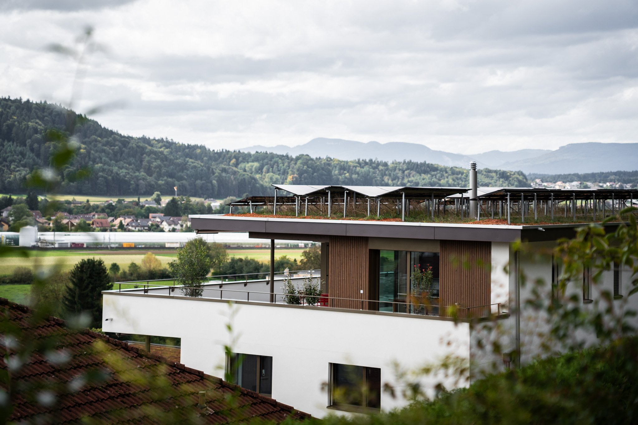 Bild - Kollektivw Wikon 04 WEB